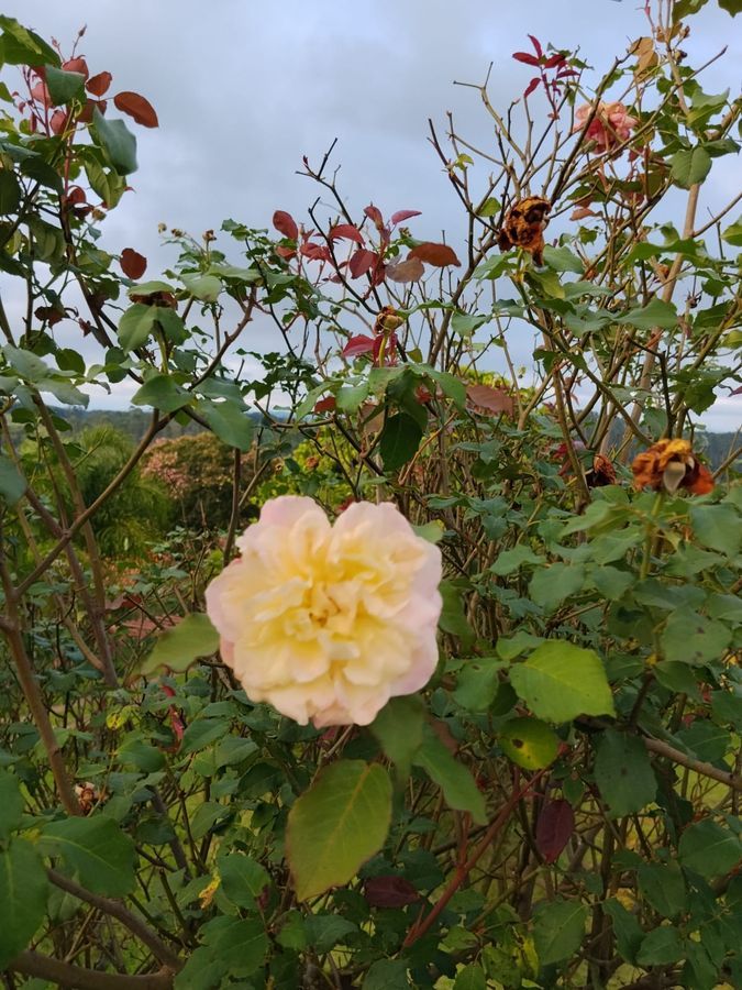 Vista externa do Recanto dos Canários ao entardecer