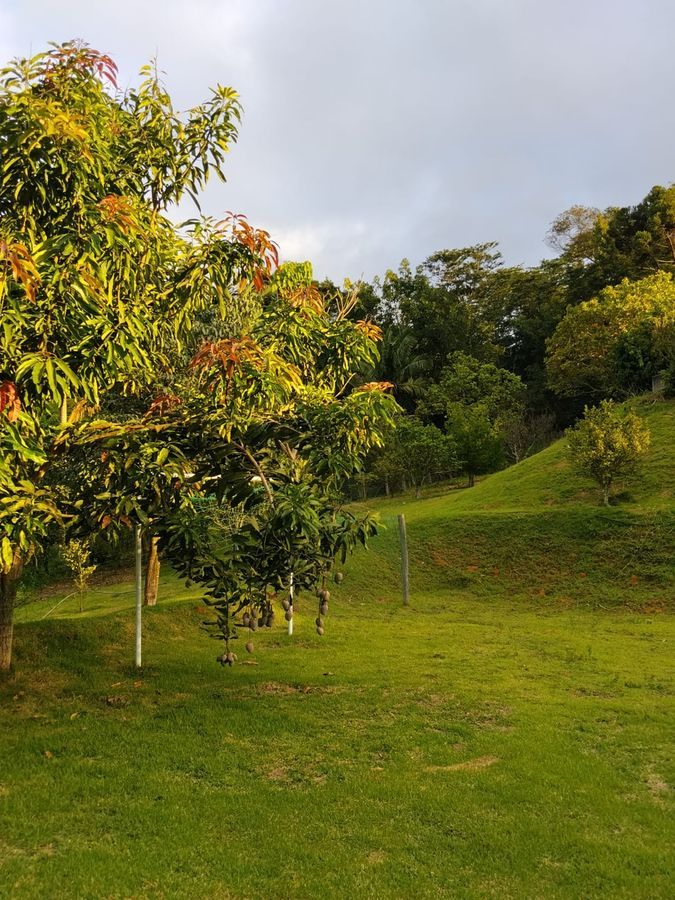 Área externa da chácara para grupos em Paraibuna, interior de São Paulo
